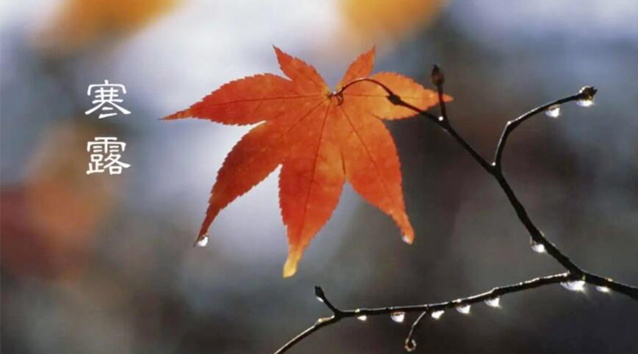 寒露時(shí)節(jié)！金環(huán)電器提醒大家要注意的事項(xiàng)