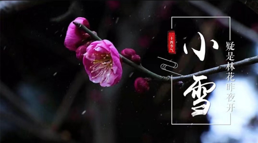 小雪時(shí)節(jié)！金環(huán)電器提醒大家要注意的事項(xiàng)