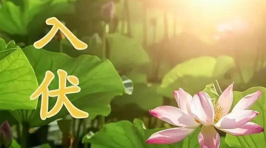 入伏天來襲！金環(huán)電器提醒大家要注意的事項