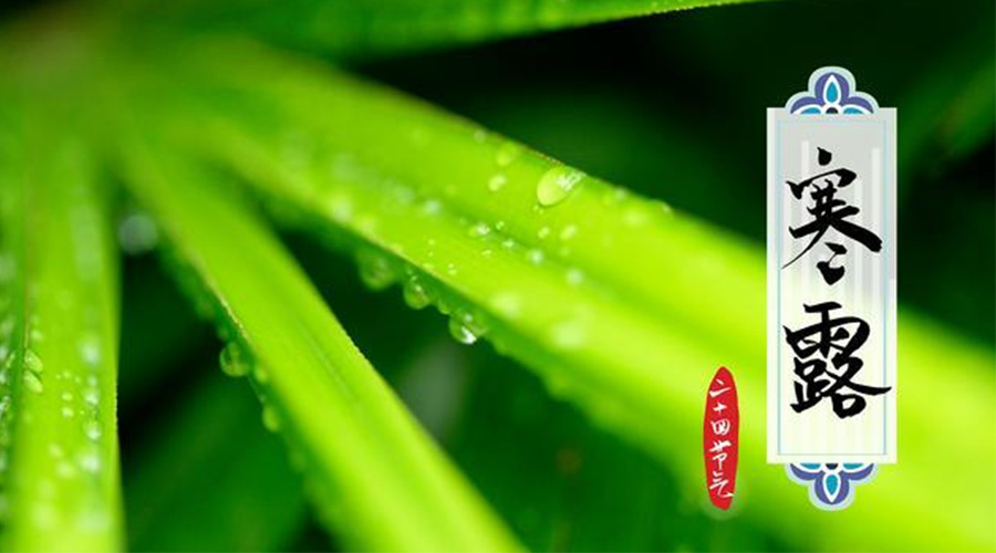 寒露時(shí)節(jié)到！金環(huán)電器提醒這些干衣事項(xiàng)要注意