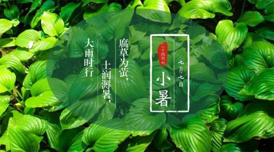 小暑時節(jié)來到！金環(huán)電器提醒大家要注意的事項