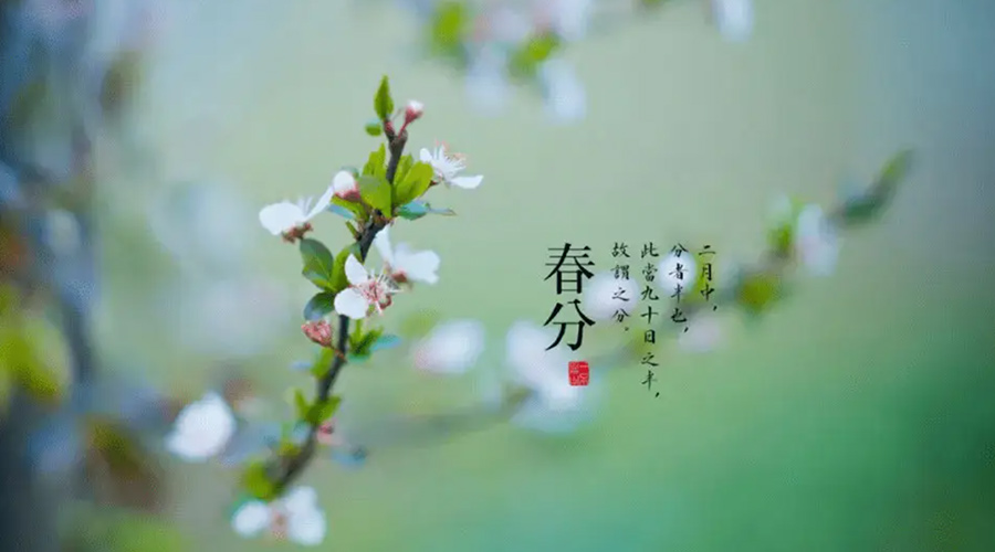 春分雨水多易生菌！金環(huán)電器提醒你衣物要注意處理