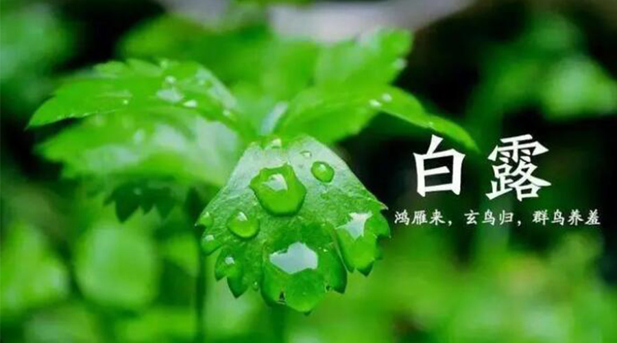 白露時節(jié)！金環(huán)電器提醒大家要注意的事項