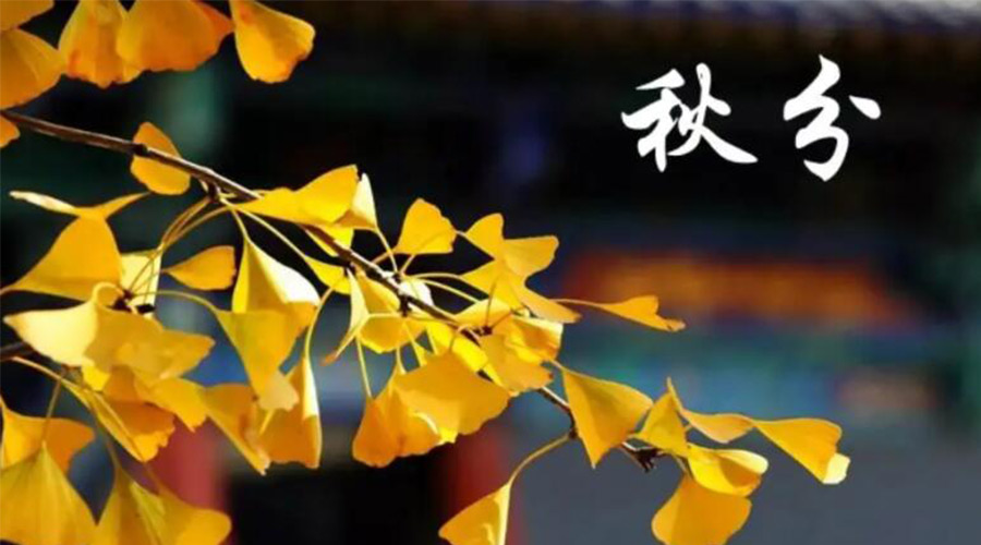 秋分時節(jié)！金環(huán)電器提醒大家要注意的事項