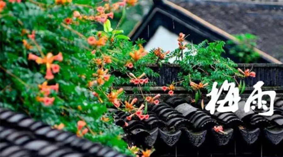 什么是梅雨？梅雨如何形成？  金環(huán)電器告訴你答案